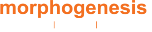 Morphogenesis